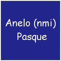 39165848 - T/Sgt. - Engineer / Top Turret Gunner - An(g)elo (nmi) Pasque - Los Angeles, Los Angeles Co., CA - Age 27 - FOD