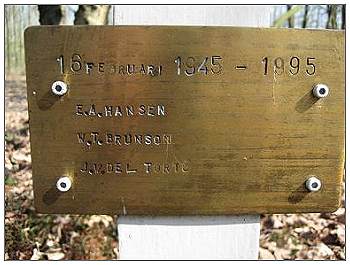 Crash site - memorial placed by Herman Redder