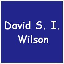 631262- Sergeant - Flight Engineer - David Strachan Wilson - RAF - Age 21 - KIA