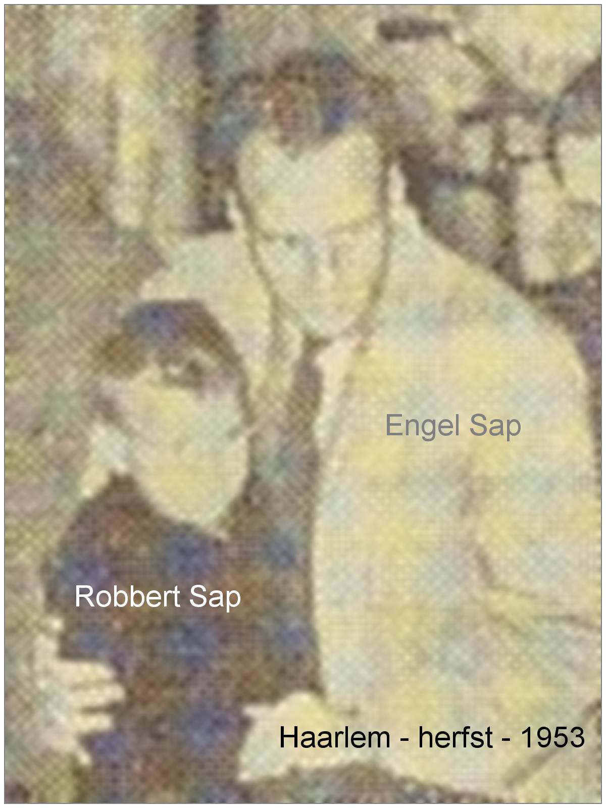 Engel Sap