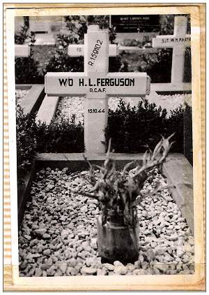 Grave marker - W/O H. L. Ferguson - R.C.A.F. - 1st picture received of grave in Stavoren