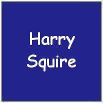 1302829 - Sergeant - Rear Air Gunner - Harry Squire - RAFVR - Age 30 - KIA