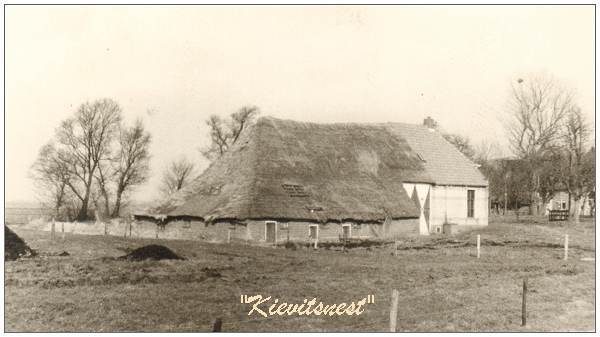Leeuwte 37 - Farm of Freek van Benthem - photo April 1972