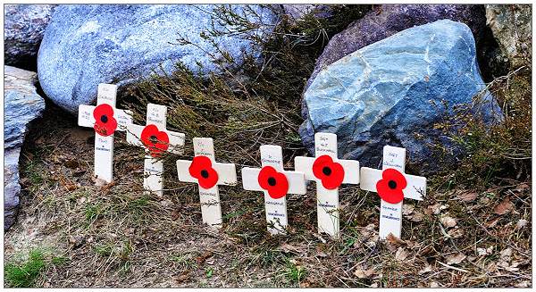 Poppies at Memorial - 06 May 2014