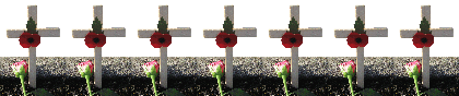 7 poppies - Blokzijl - 11-11-11 - with 2nd version op Poppy cross