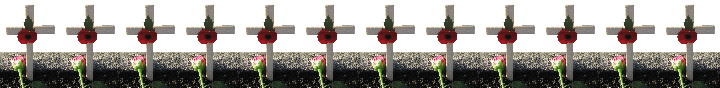 12 poppies - Vollenhove - 11-11-11 - with 2nd version op Poppy cross