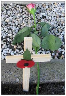 Poppy 2011 Moggridge - with 2nd version op Poppy cross