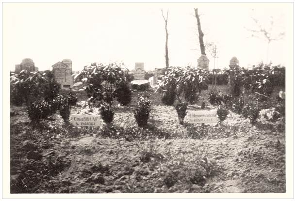 1946 - Vollenhove General Cemetery - grave 626 - Cowell - grave 625 - Hemingway