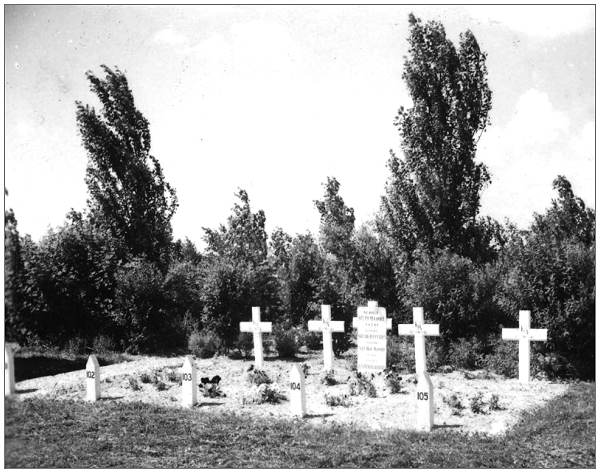 War Graves - Emmeloord - 1949 - Coll. Grave: 102-105